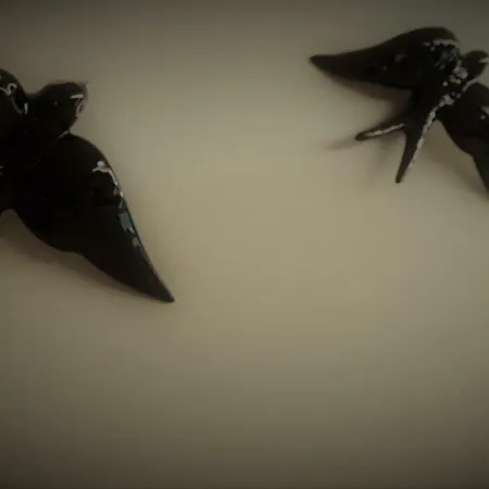 Nadmorska Dziupla * Dziwnówek