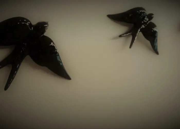 Nadmorska Dziupla * דז'יבנובק